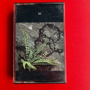 Led Zeppelin - Box Quádruplo - Fita 3 USA